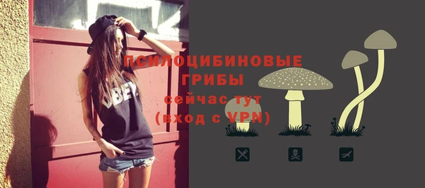 2c-b Вяземский