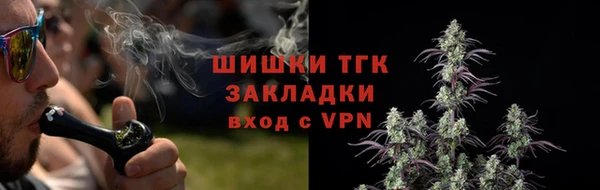 стаф Вязники