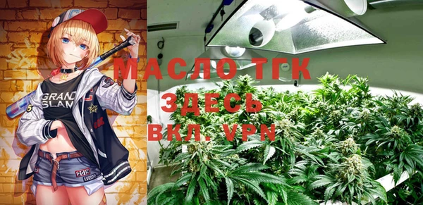 стаф Вязники