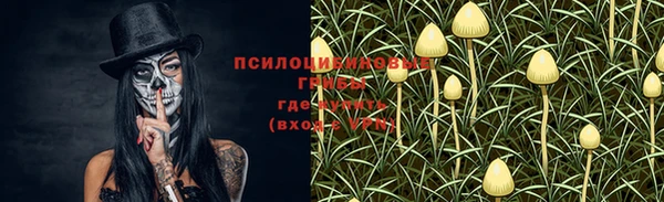 стаф Вязники
