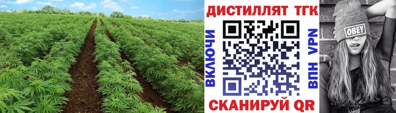 Дистиллят ТГК THC oil  закладка  mega   Дятьково 