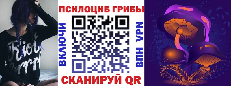 Псилоцибиновые грибы GOLDEN TEACHER Дятьково
